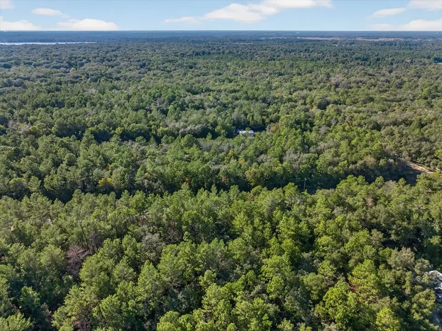 0 Usina Ave, Interlachen, FL 32148 - #3