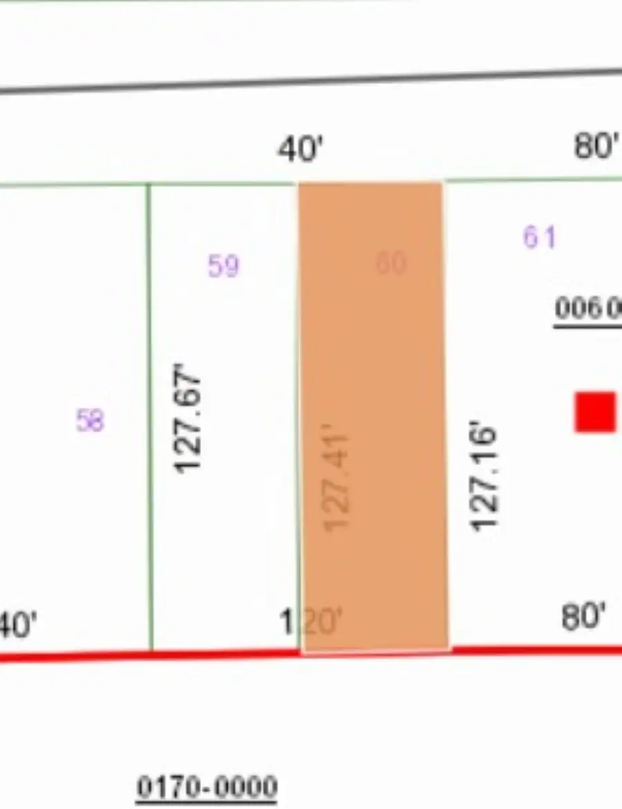 0 Unassigned Rd, Interlachen, FL 32148 - #2