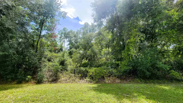 S Georgetown Point Rd, Georgetown, FL 32139