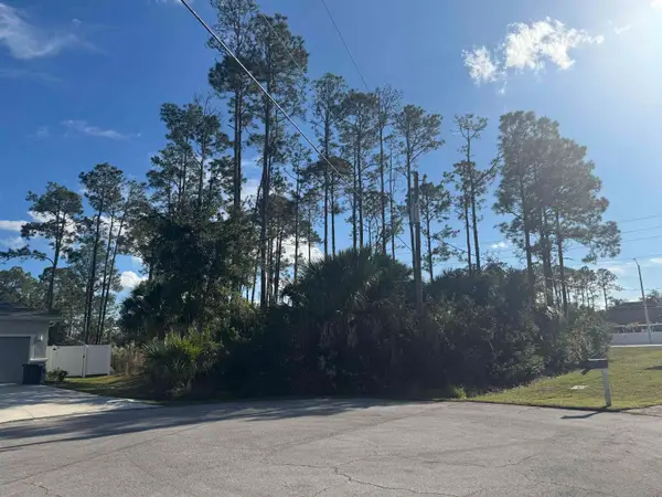 13 Random Pl, Palm Coast, FL 32164