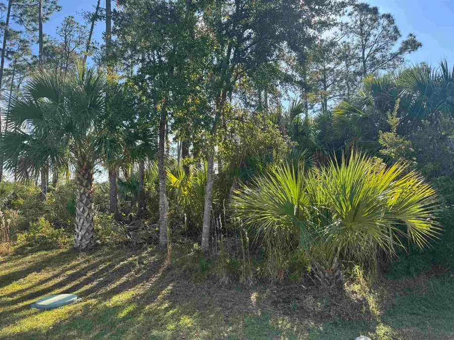13 Random Pl, Palm Coast, FL 32164 - #2