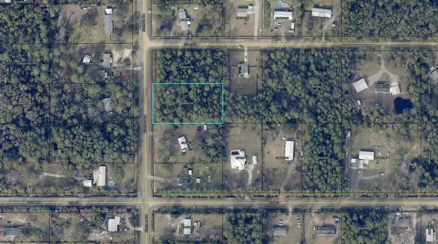 10040 Kirchherr Ave, Hastings, FL 32145 - #2