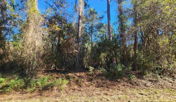 131 Georgetown Denver Rd, Georgetown, FL 32139