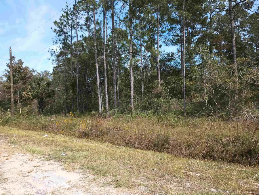 10440 Flikkema Ave, Hastings, FL 32145 - #3