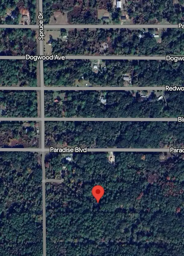 310 Laisy Dr, Georgetown, FL 32139