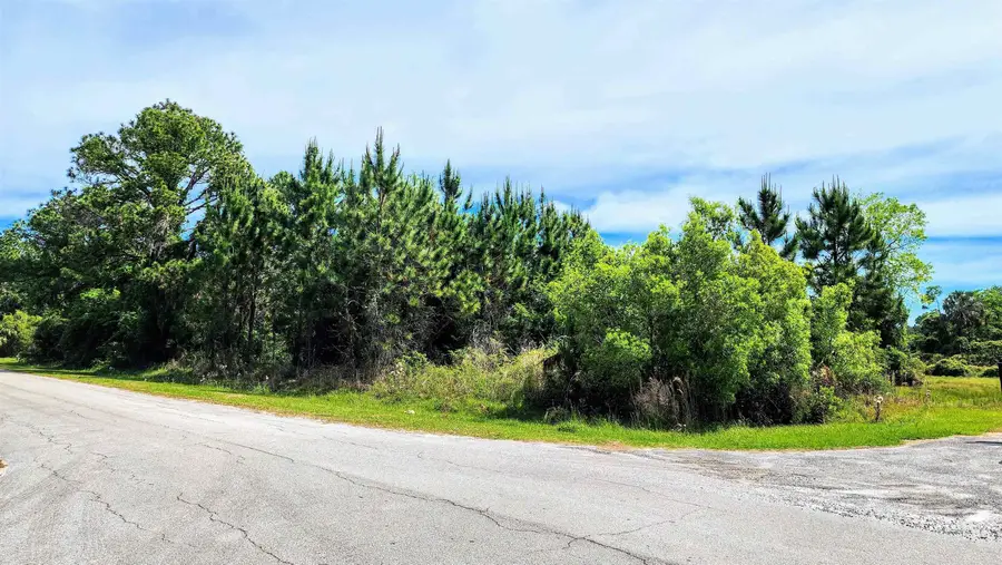 TBD Palm Way And Gardenia Ave, Georgetown, FL 32139 - #2