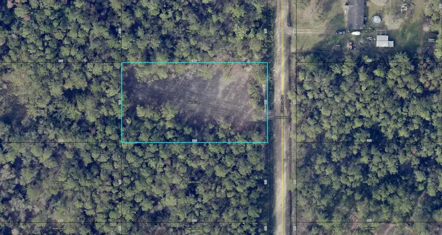 10695 Flikkema Ave, Hastings, FL 32145 - #2