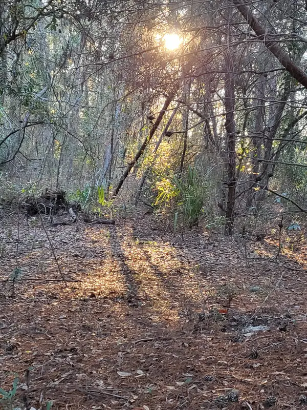 00 Beulah Church Rd, Crescent City, FL 32112