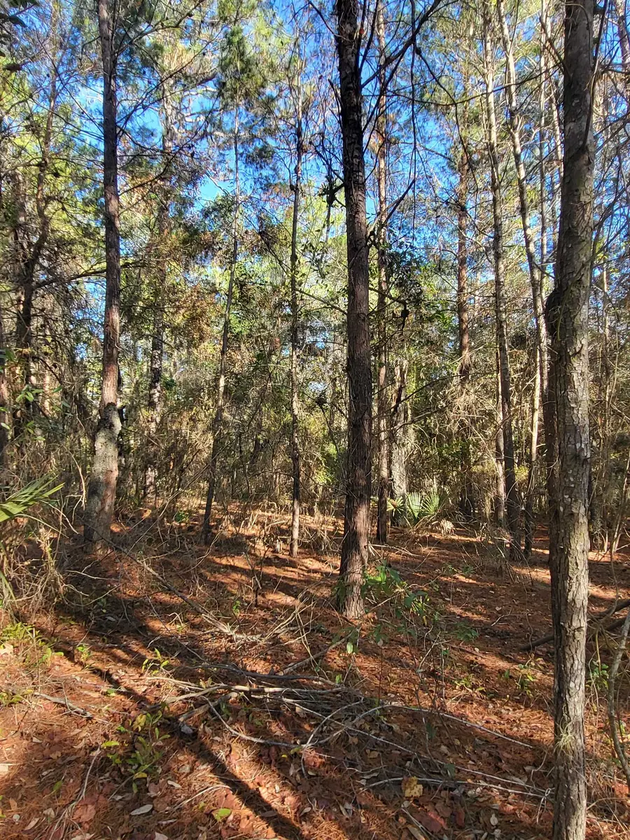 00 Beulah Church Rd, Crescent City, FL 32112 - #3