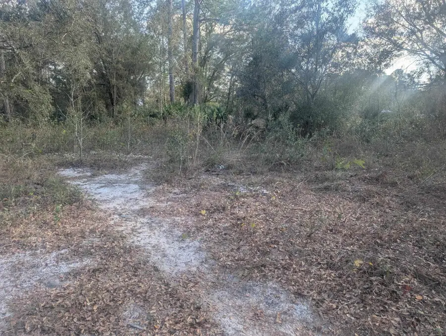 10300 Mcmahon Ave, Flagler Estates, FL 32145 - #3