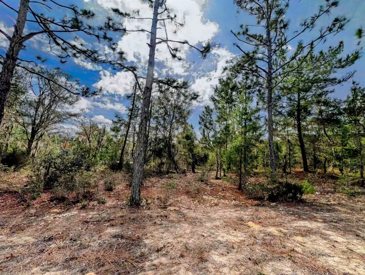 Cherry St, Interlachen, FL 32148 - #1