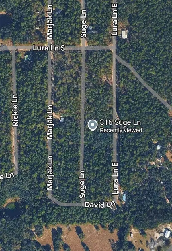 316 Suge Ln, Florahome, FL 32140