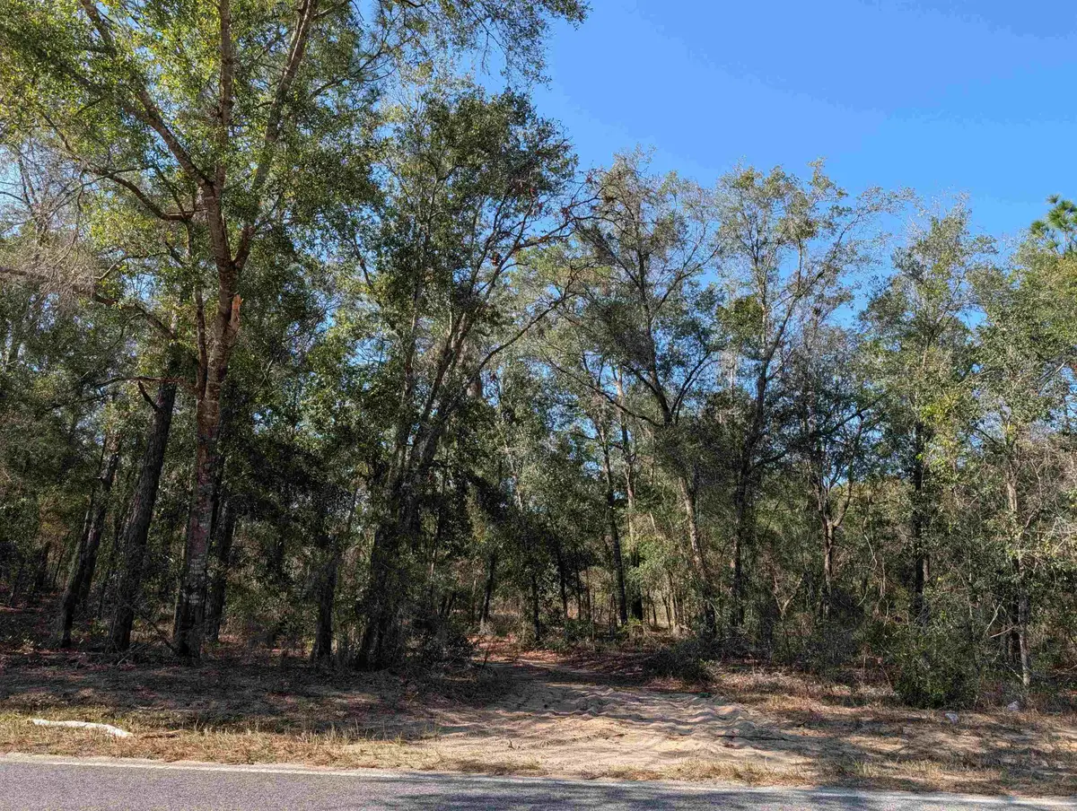 475 Baden Powell Rd, Hawthorne, FL 32640 - #1