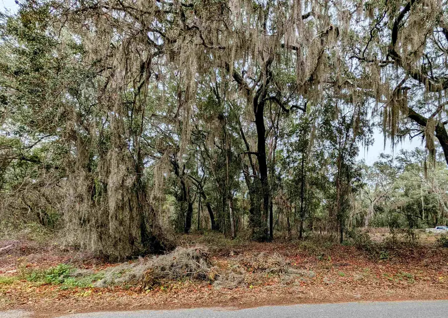 Hillsborough Blvd, Florahome, FL 32140 - #2