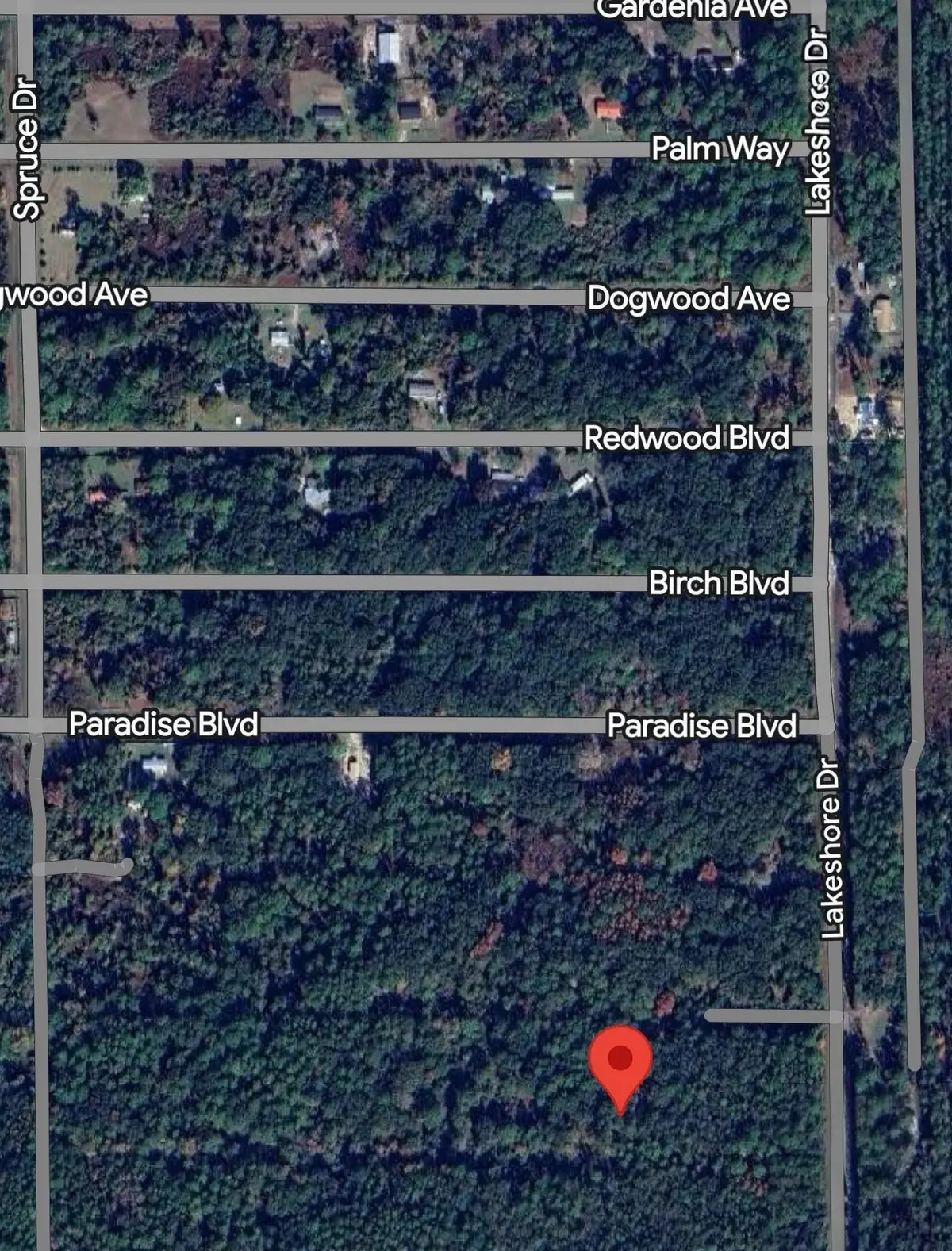 330 Chipola Dr, Georgetown, FL 32139 - #1