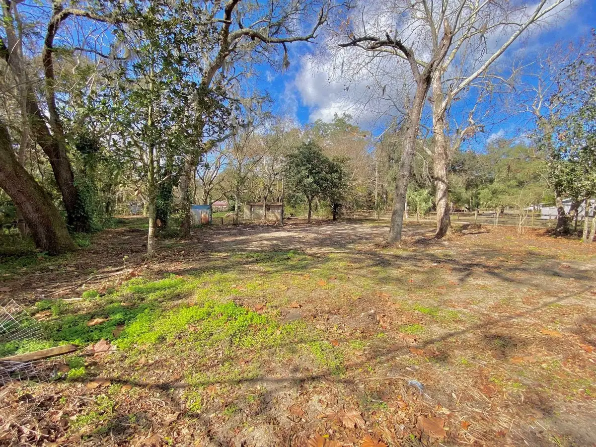 18990 SE 95th Pl, Ocklawaha, FL 32179 - #1