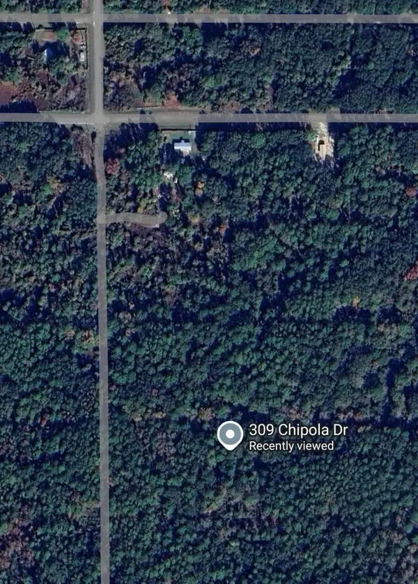 309 Chipola Dr, Georgetown, FL 32139
