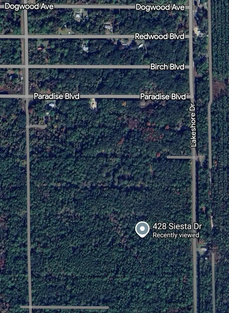 428 Siesta Dr, Georgetown, FL 32139 - #2