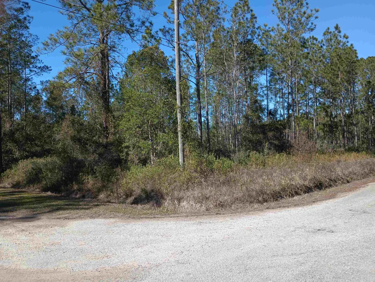 10575 Amos Ave, Hastings, FL 32145 - #1