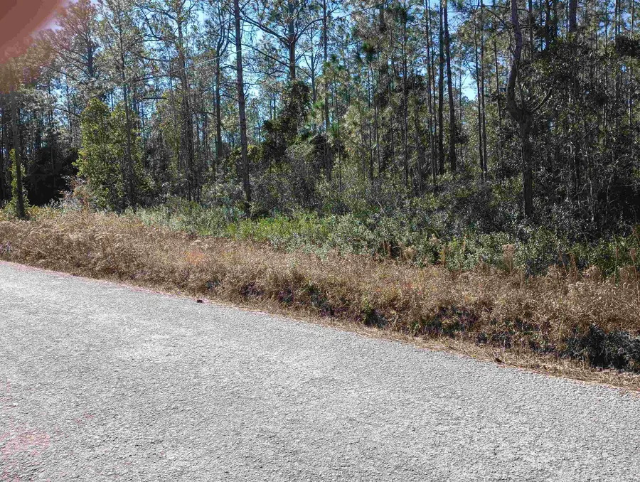 10575 Amos Ave, Hastings, FL 32145 - #3