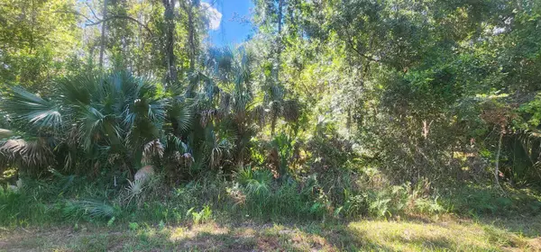 427 Dogwood Ave, Georgetown, FL 32139