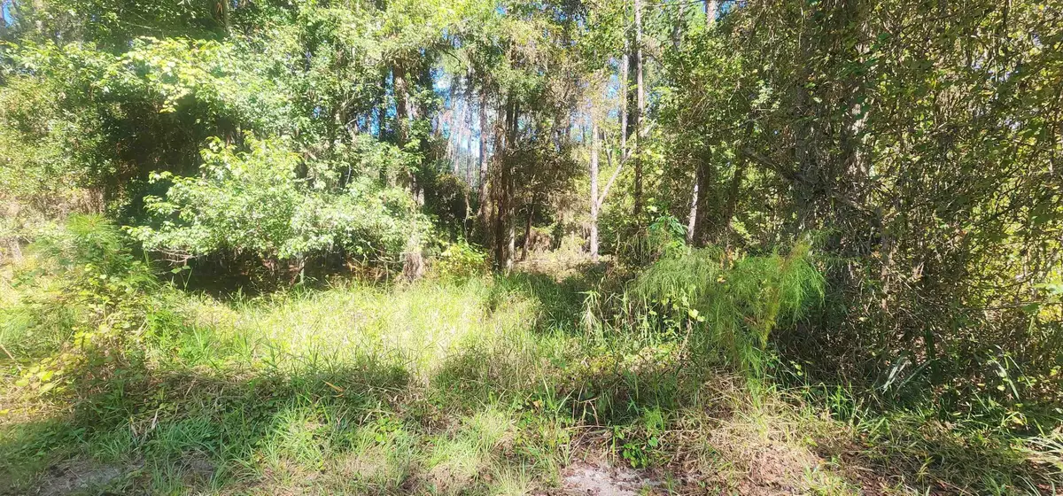 424 Dogwood Ave, Georgetown, FL 32139 - #1