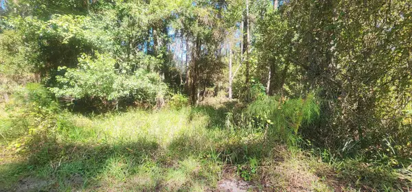 424 Dogwood Ave, Georgetown, FL 32139