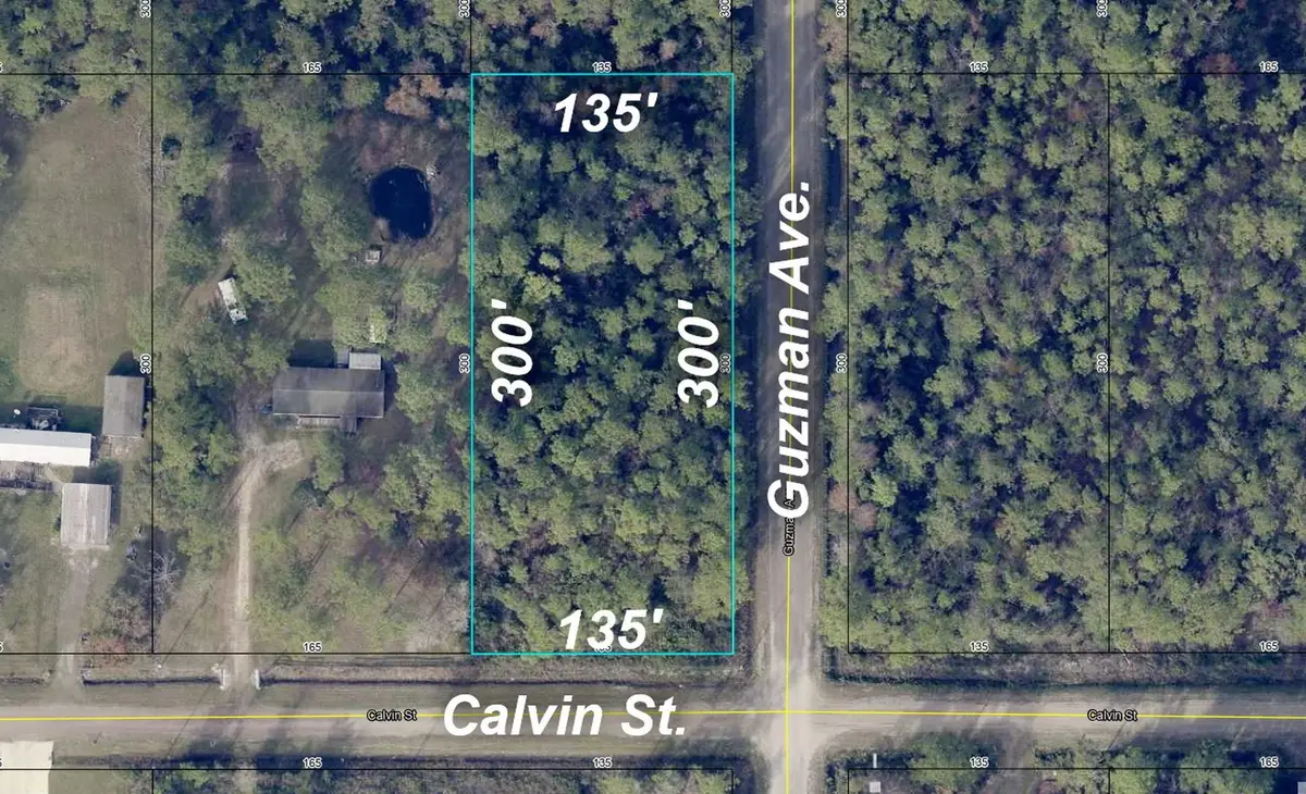 4300 Calvin St, Hastings, FL 32145 - #1
