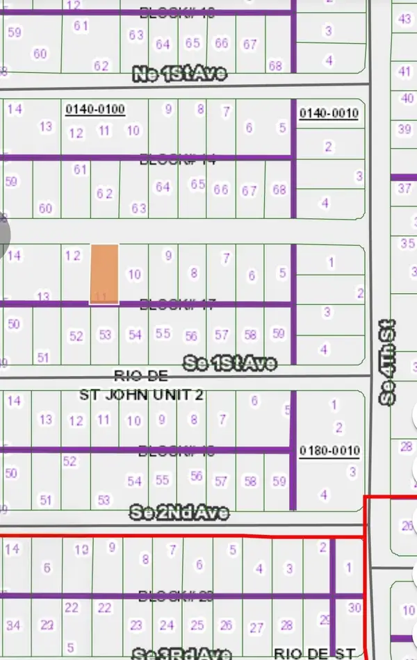 TBD E Rio Ave, Palatka, FL 32177