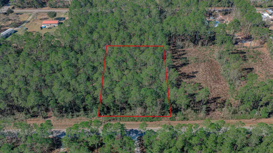 10245 Dillon Ave, Hastings, FL 32145 - #3