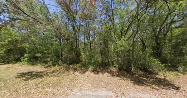 Guava Lane Trak, Ocklawaha, FL 32179