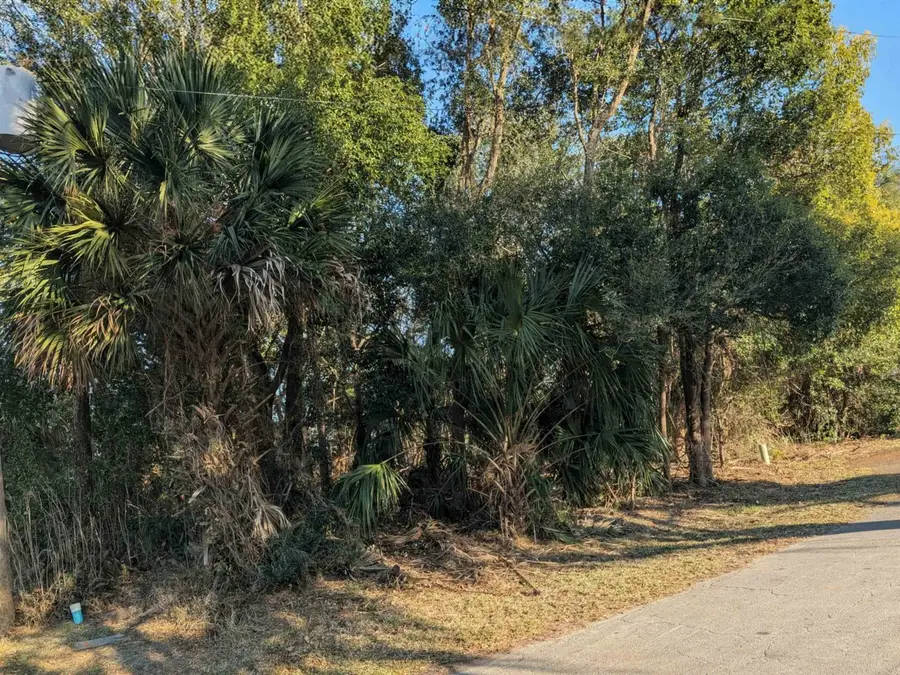 4 Corning Ct, Palm Coast, FL 32137 - #2