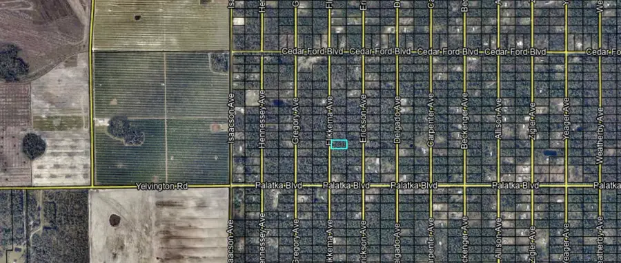 10530 Flikkema Ave, Hastings, FL 32145 - #3