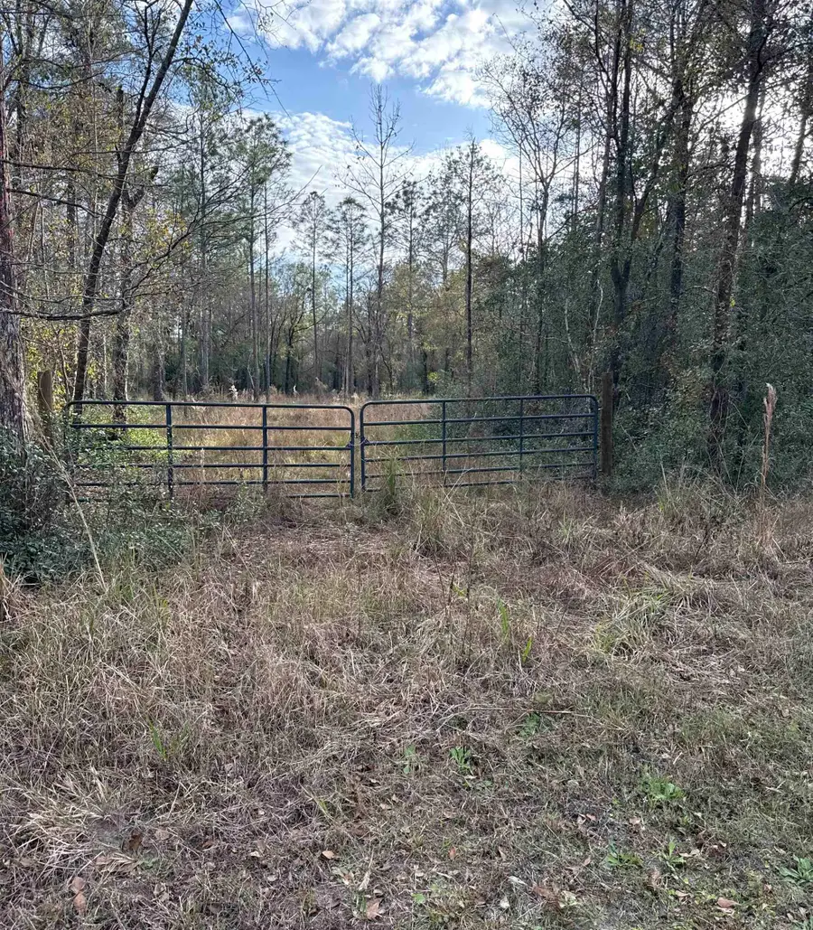 4335 Isaac St, Hastings, FL 32145 - #3