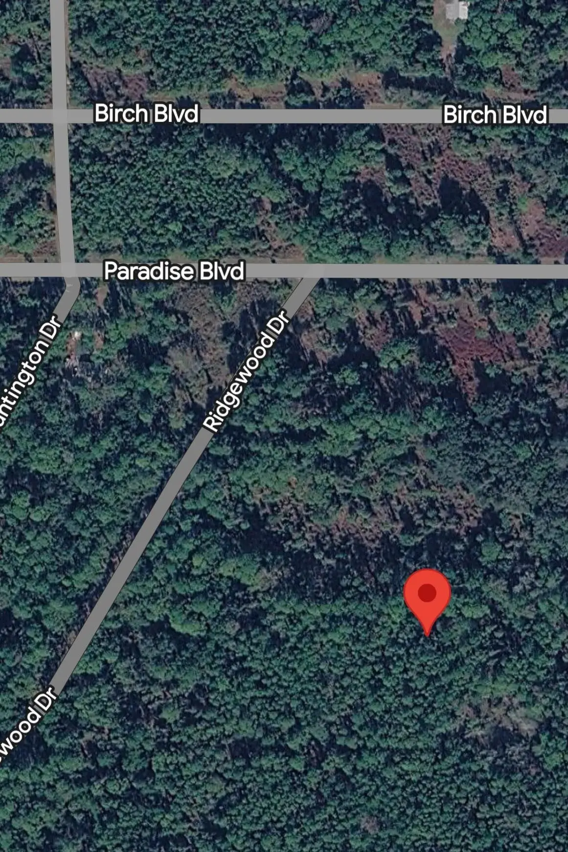 215 Laisy Dr, Georgetown, FL 32139 - #1