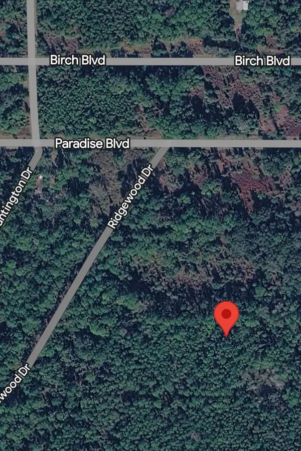 215 Laisy Dr, Georgetown, FL 32139