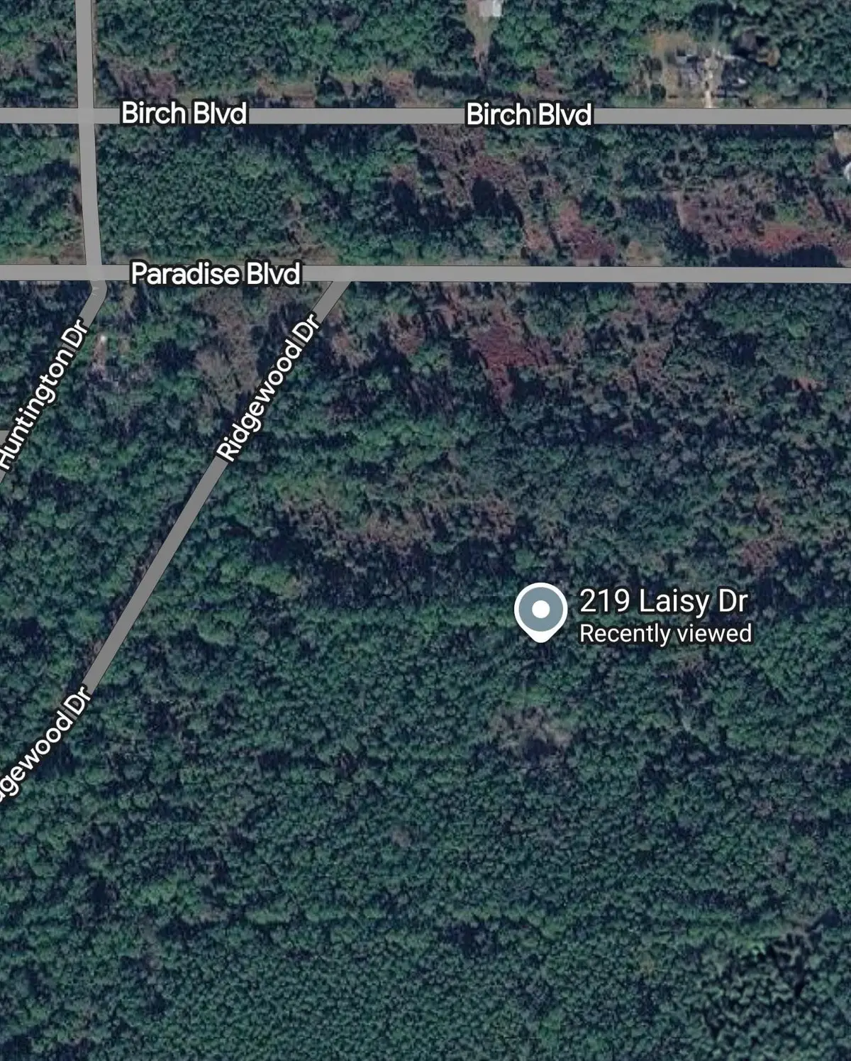 219 Laisy Dr, Georgetown, FL 32139 - #1