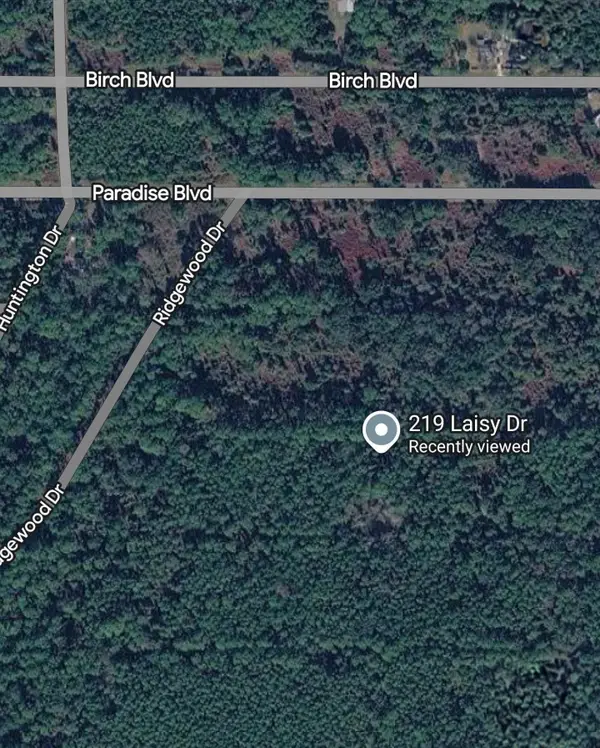 219 Laisy Dr, Georgetown, FL 32139