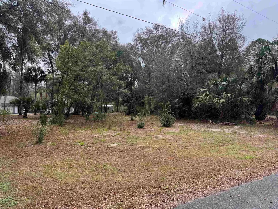 116 Orange Tree Dr, East Palatka, FL 32131 - #3