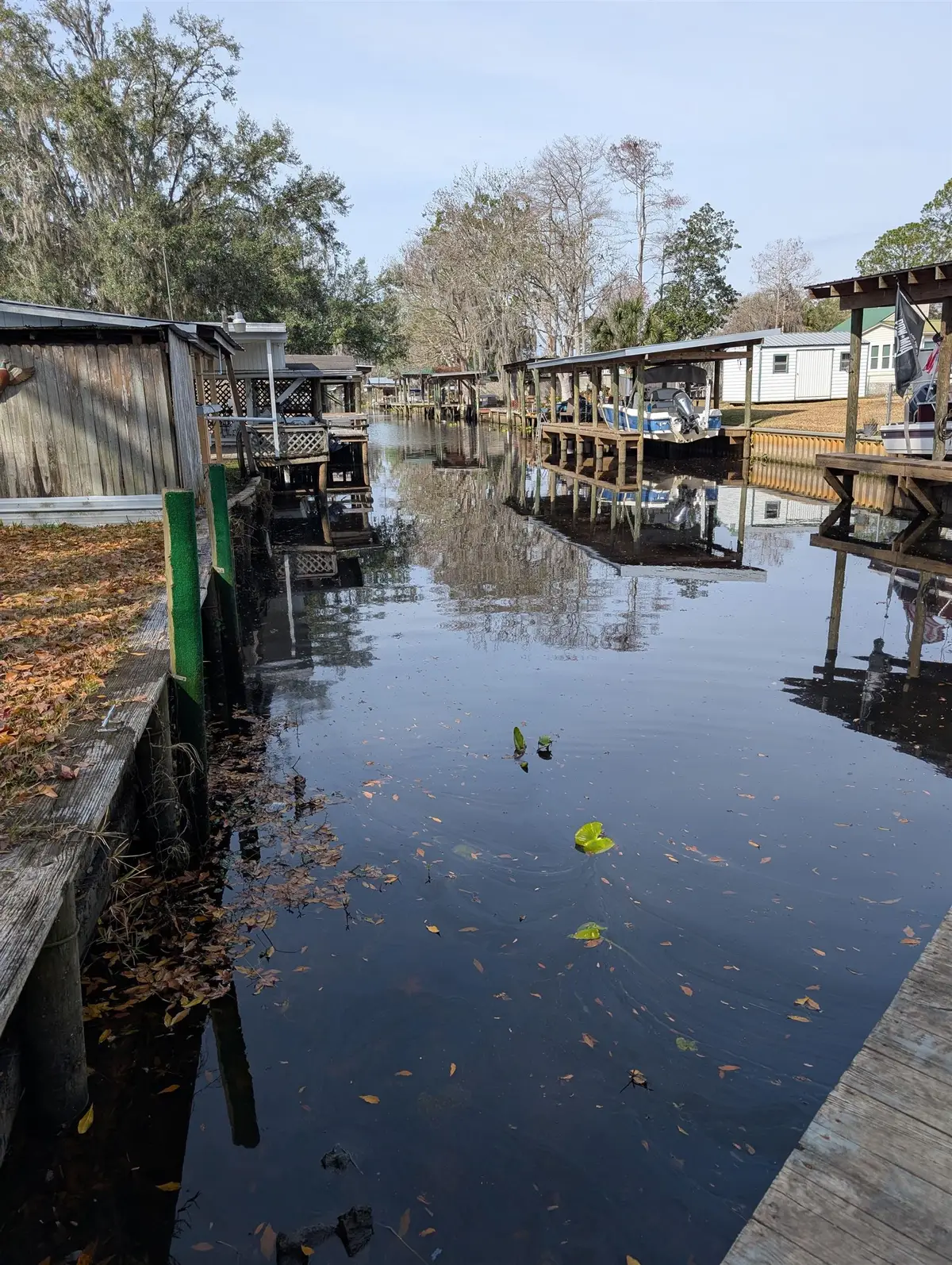 102 Edgewater Rd, Satsuma, FL 32189 - #1