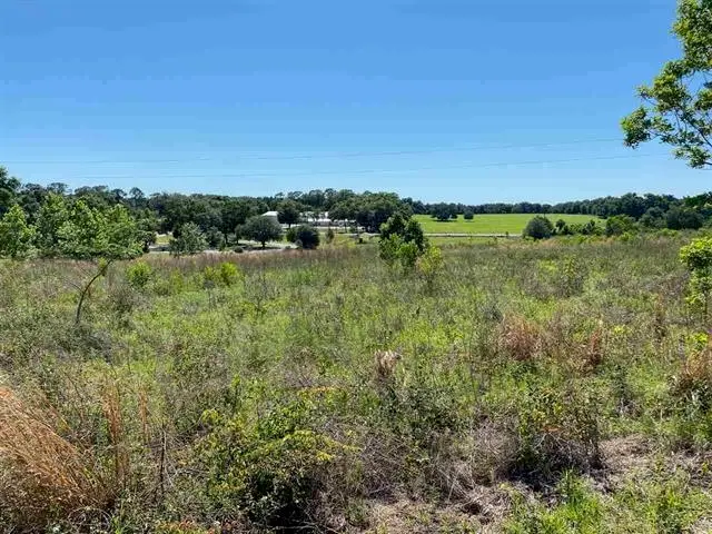 1037 N Lecanto, Lecanto, FL 34461 - #1