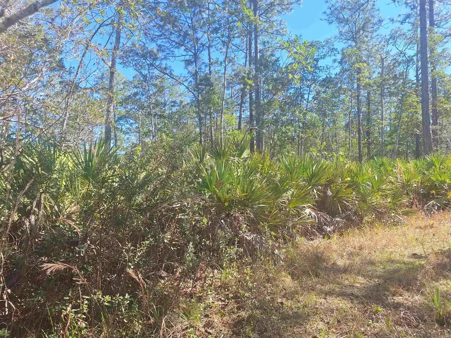 330 Damascus Road, Deland, FL 32724 - #3