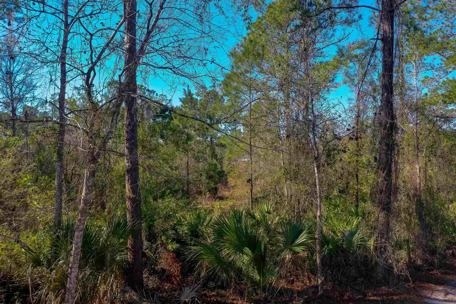 33150 Forest Ridge Rd, Deland, FL 32720 - #2