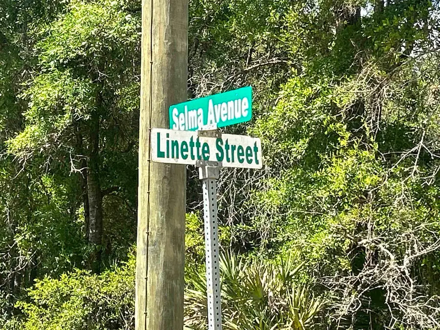 0A Selma Ave, Interlachen, FL 32148 - #2