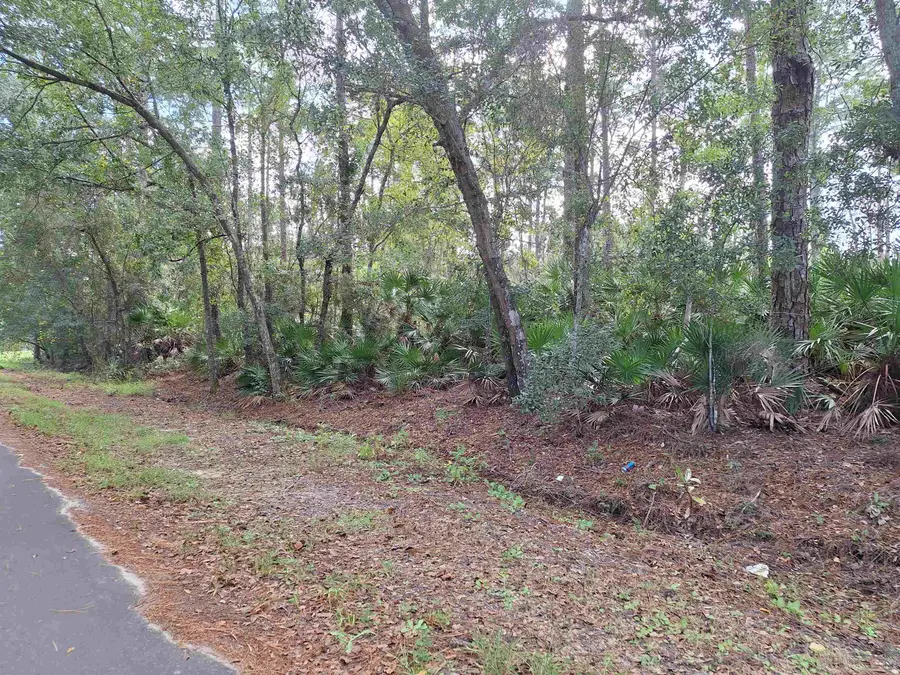 201 Pineway West Ave, Satsuma, FL 32189 - #3