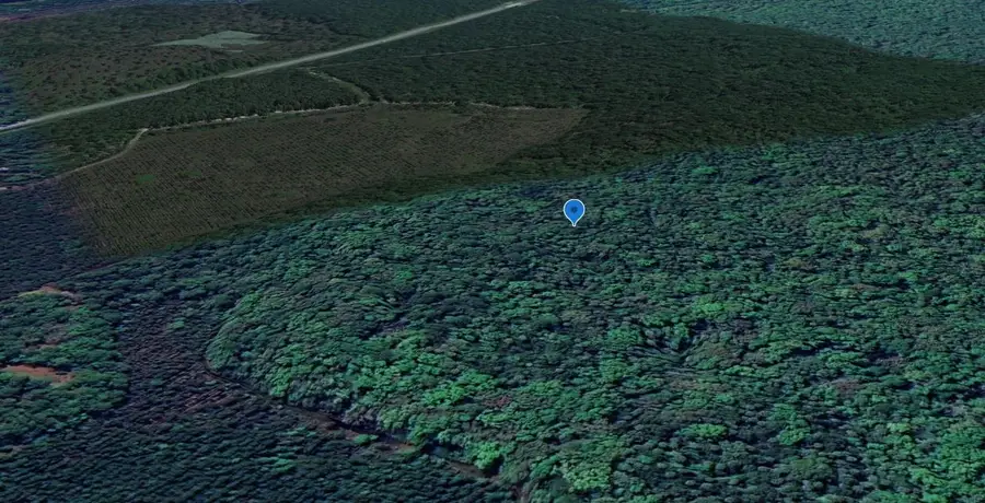 0 Goshawk Rd, Palatka, FL 32177 - #2