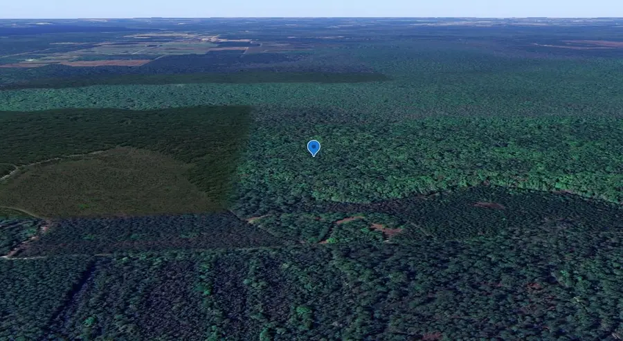 0 Goshawk Rd, Palatka, FL 32177 - #3