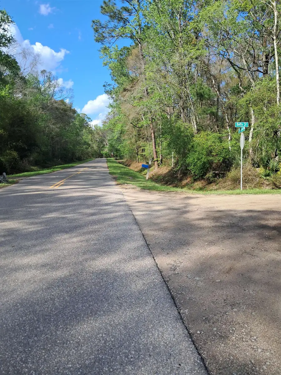 9610 E Deep Creek Blvd, Hastings, FL 32145 - #3