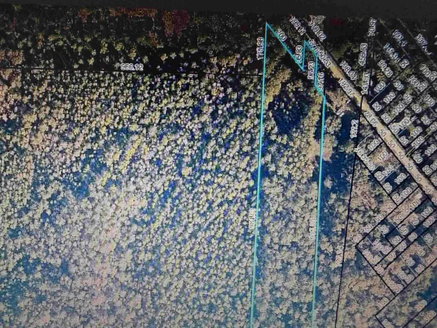 6121 Armstrong Rd, Elkton, FL 32033 - #2