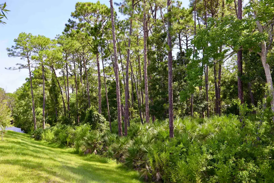 96 Silver Birch St, Saint Augustine, FL 32084 - #2